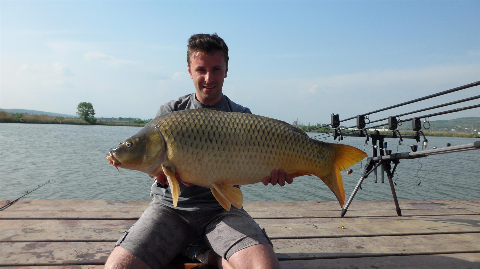 Pleasa 2013 - 11.40kg